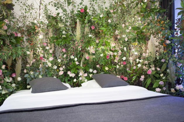 Des végétaux qui apportent du relief