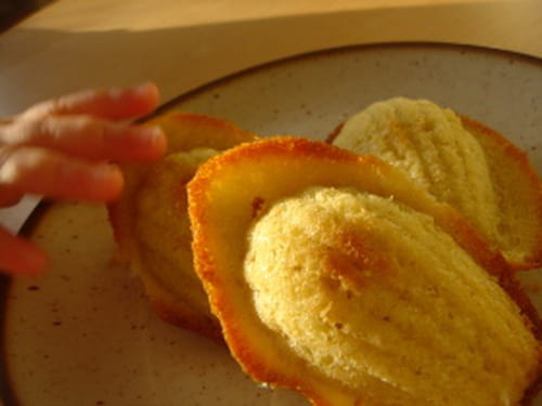 Mini madeleines aux agrumes