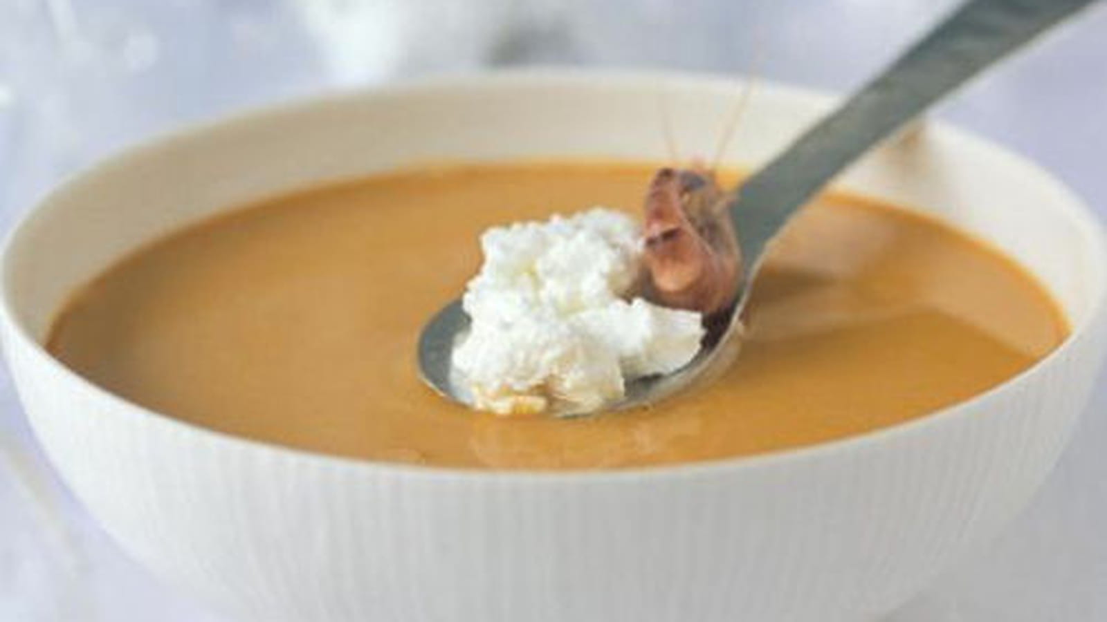 Bisque de crevettes grises au petit billy