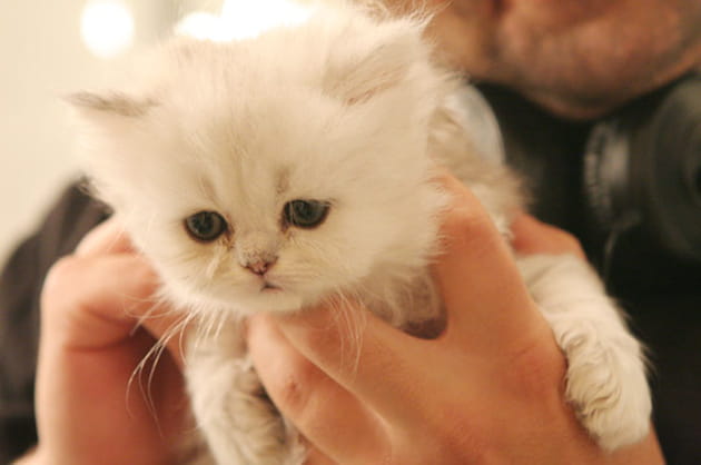 L&eacute;ger comme une plume