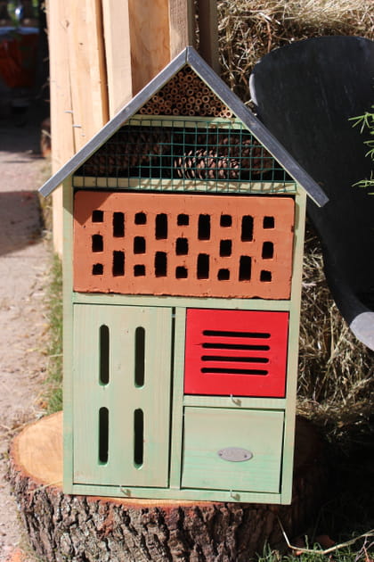 Accueillir les insectes utiles