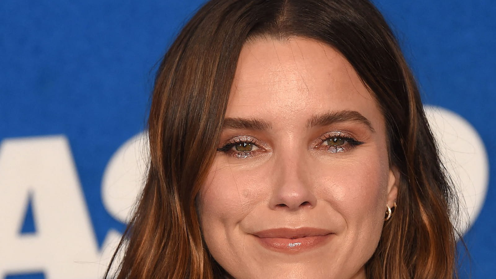 Sophia Bush en brune