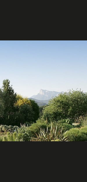 Dans les coulisses de Sanoflore