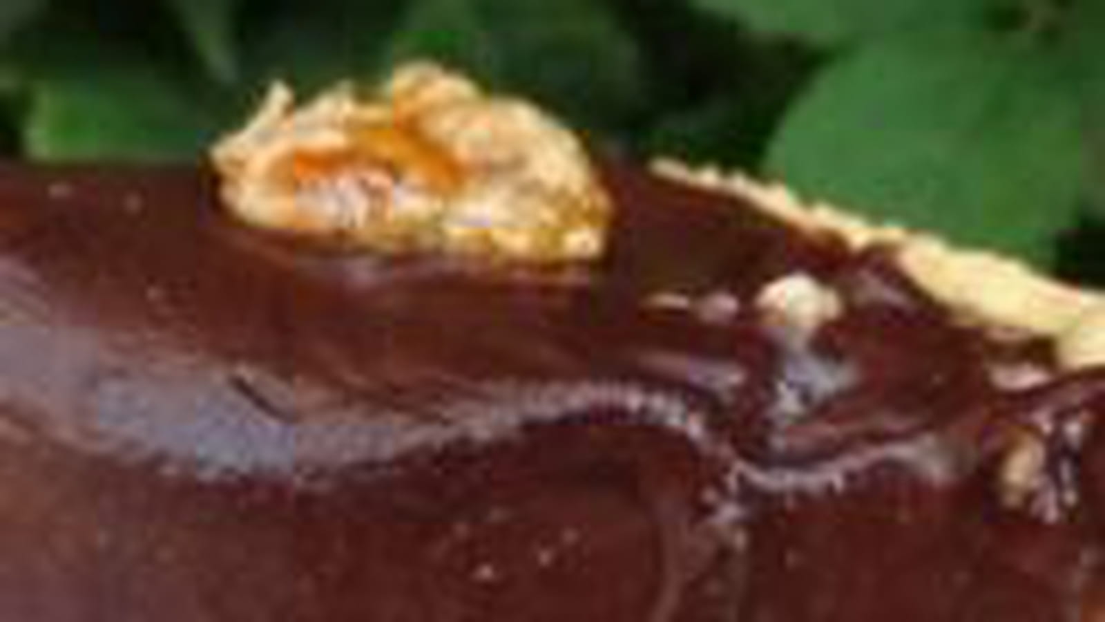 Tarte choco-noix-carambar