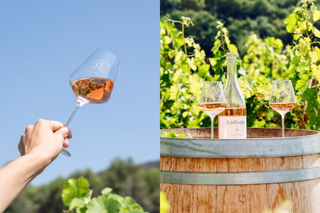 Alphonse Ros&eacute; 2024&nbsp;- Domaine de Fontenille