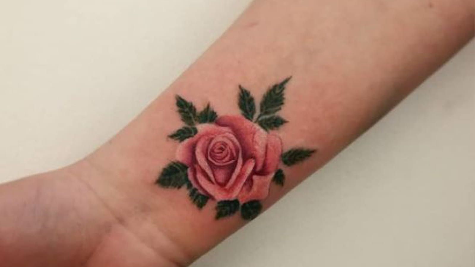 Une jolie rose
