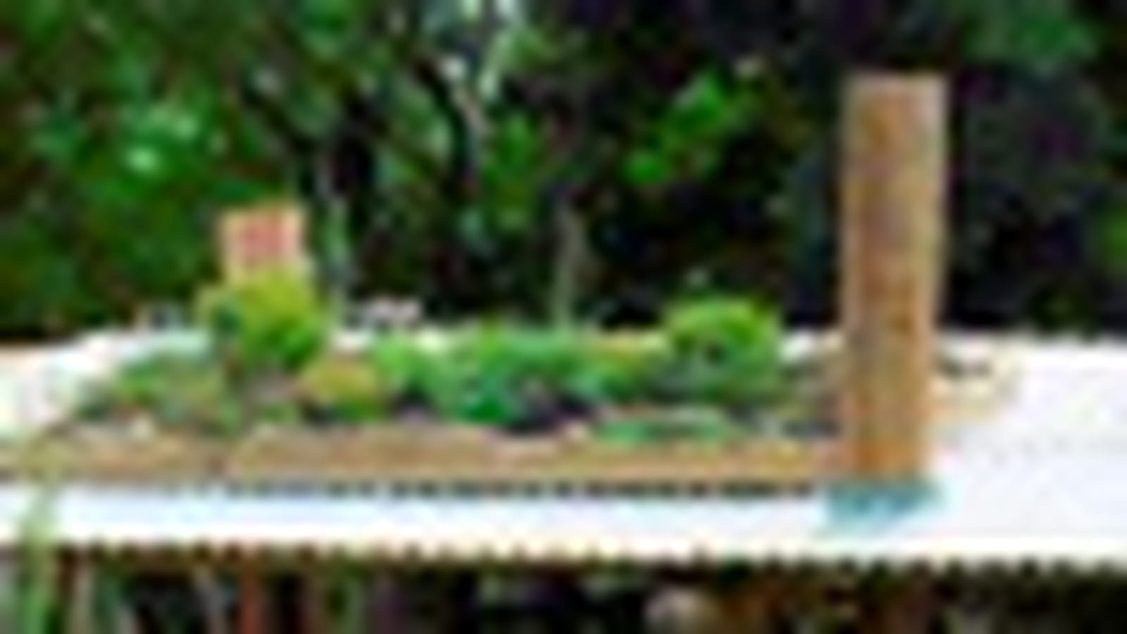 Le jardin Eloge du compost