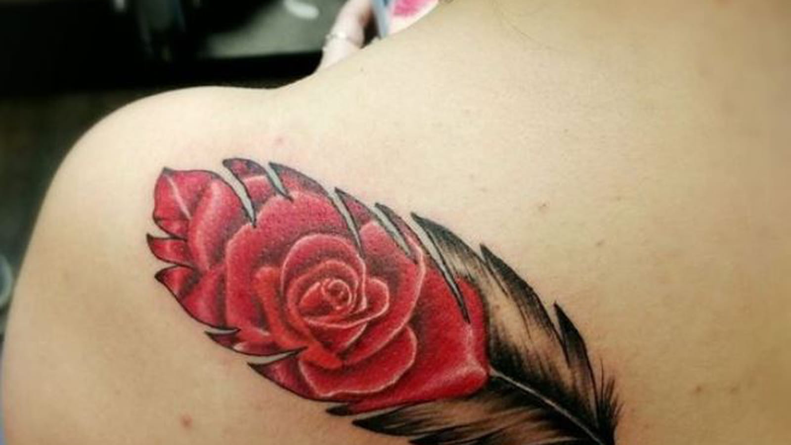 Tatouage plume et rose sur l'omoplate
