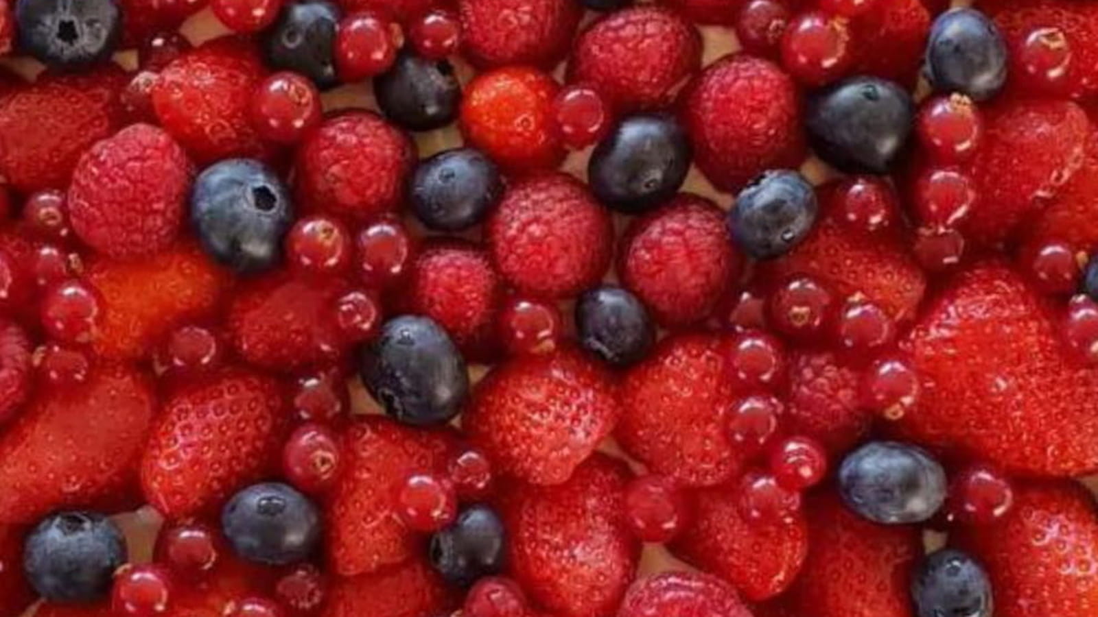 Tarte aux fruits rouges