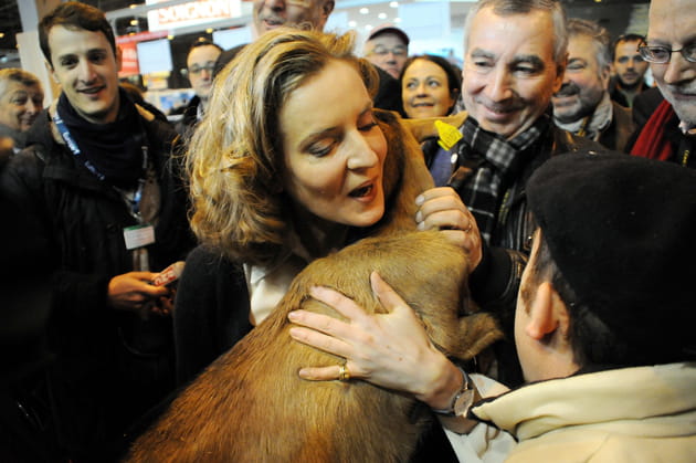 Moment câlin pour NKM