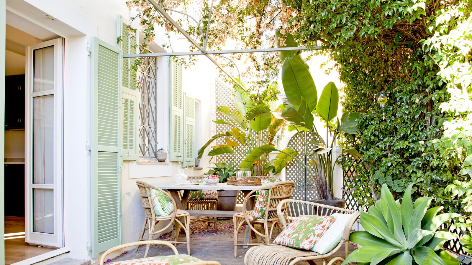 Ambiance jungle