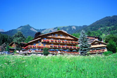 roches fleuries 400 266