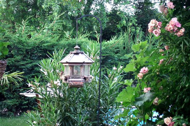 L'élégante mangeoire pour oiseaux