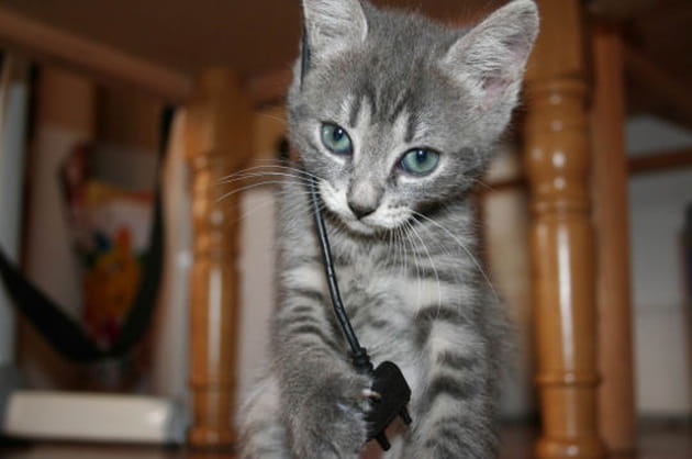 Regard t&eacute;n&eacute;breux