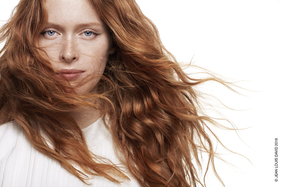 La crini&egrave;re rousse