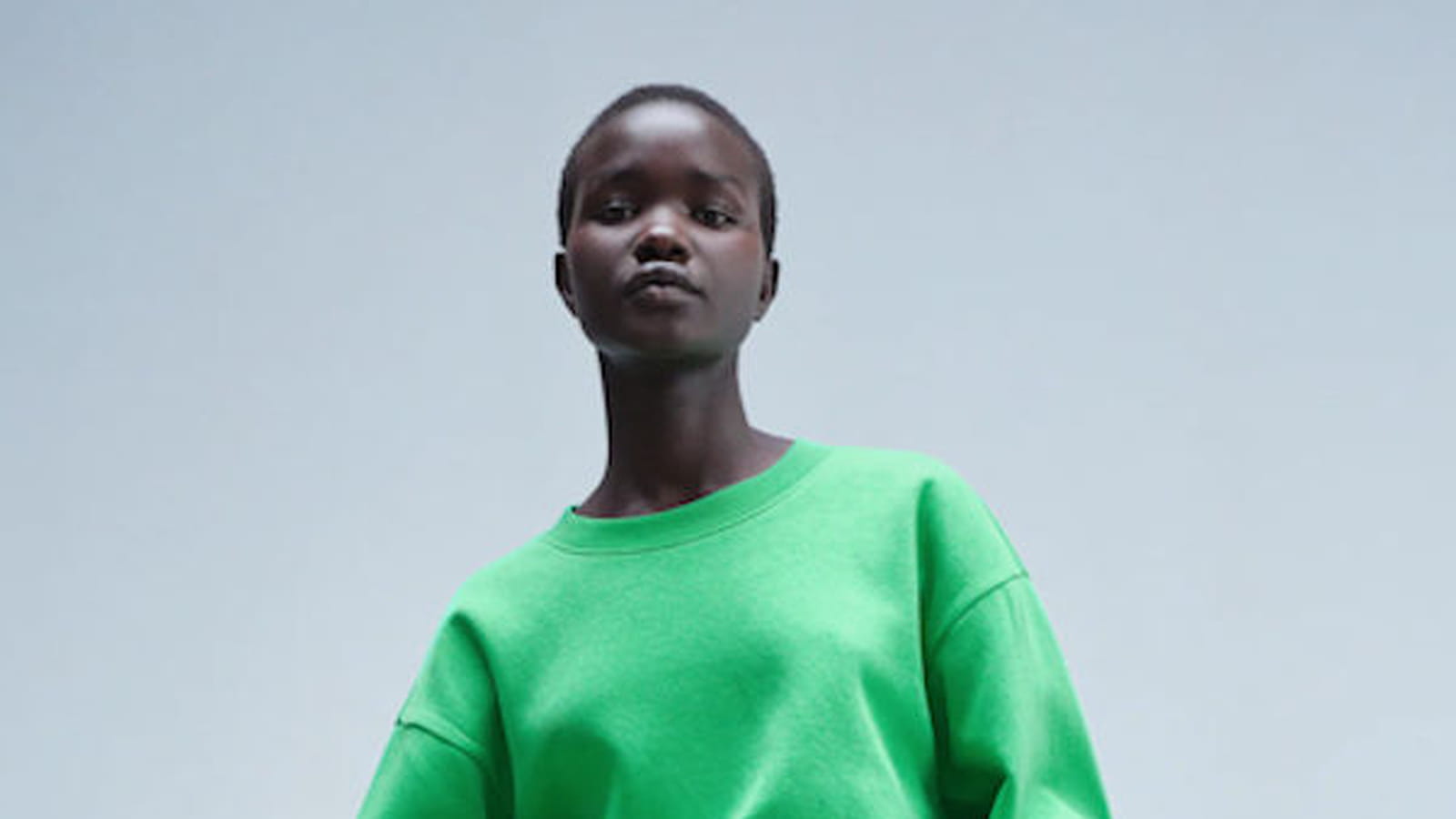 Sweatshirt Zara