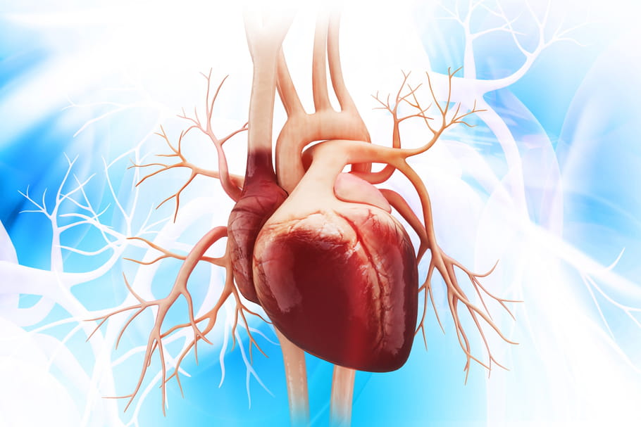 Myocardite : symptômes, causes, une complication du Covid-19 ?