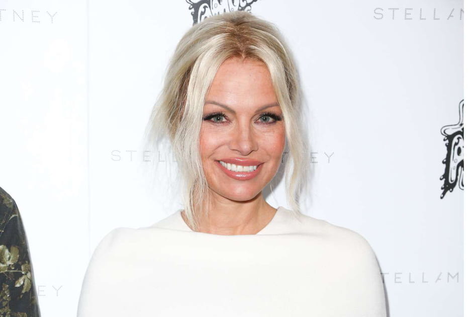 Les cheveux blonds polaire de Pamela Anderson