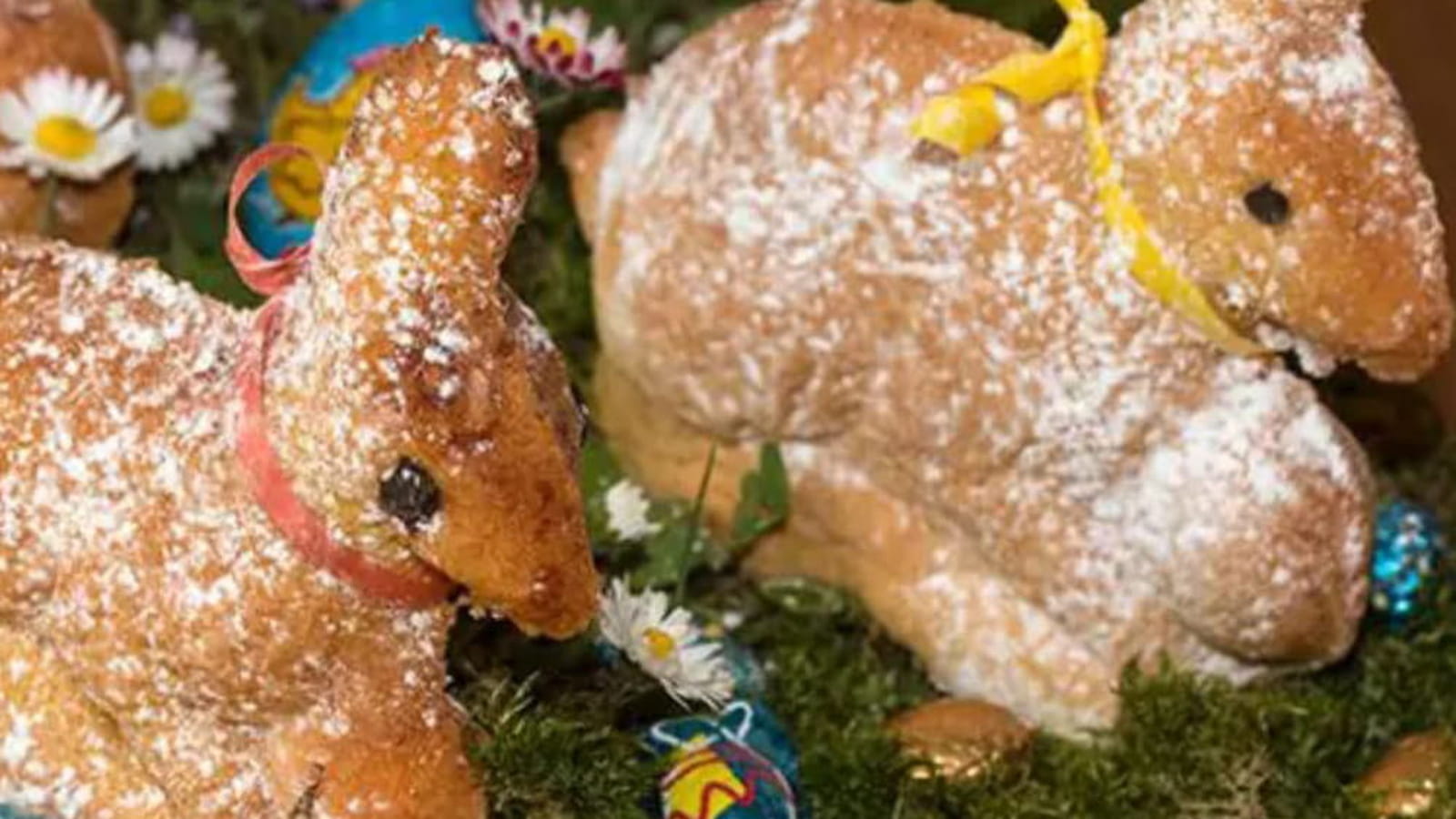 Lapins de Pâques et Lammele, l’Agneau Pascal
