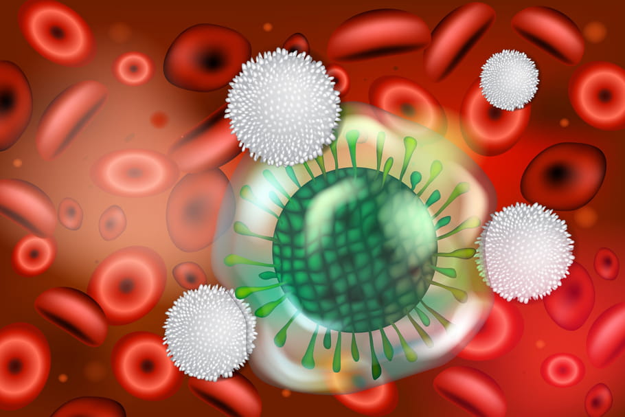 Lymphopénie : causes, conséquences, quand faire un bilan ?