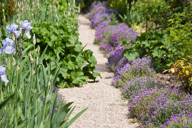 Des combinaison de couleurs