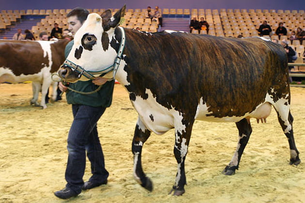 Un d&eacute;fil&eacute; tr&egrave;s pris&eacute;