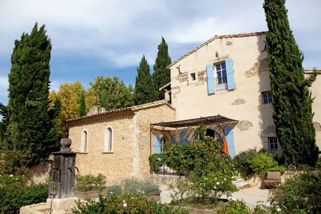 Des cypr&egrave;s comme des grands arbres