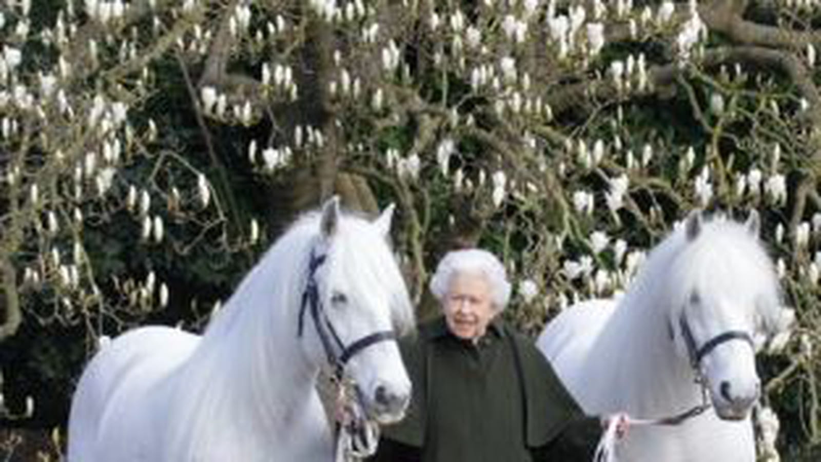 Elizabeth II pose avec deux de ses poneys, Bybeck Katie et Bybeck Nightingale
