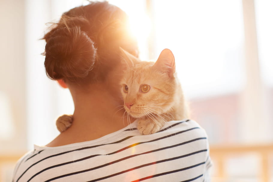 Coronavirus et animaux de compagnie : les précautions recommandées