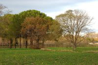 jardins de la lironde vague verte