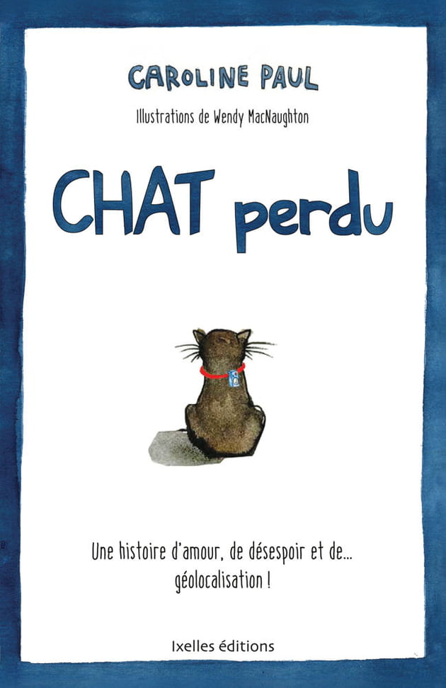 chat perdu 1000
