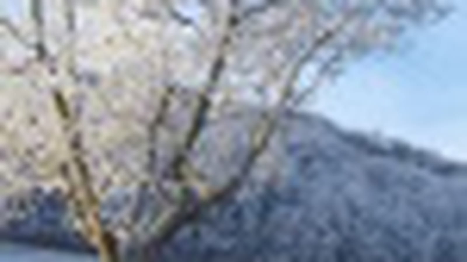 Décembre