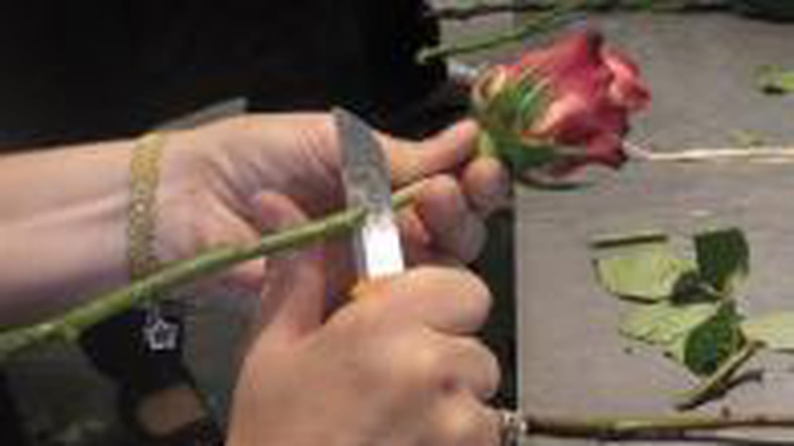 Préparation des roses