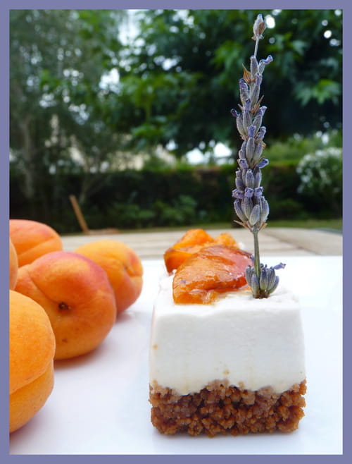 Cheesecake aux abricots