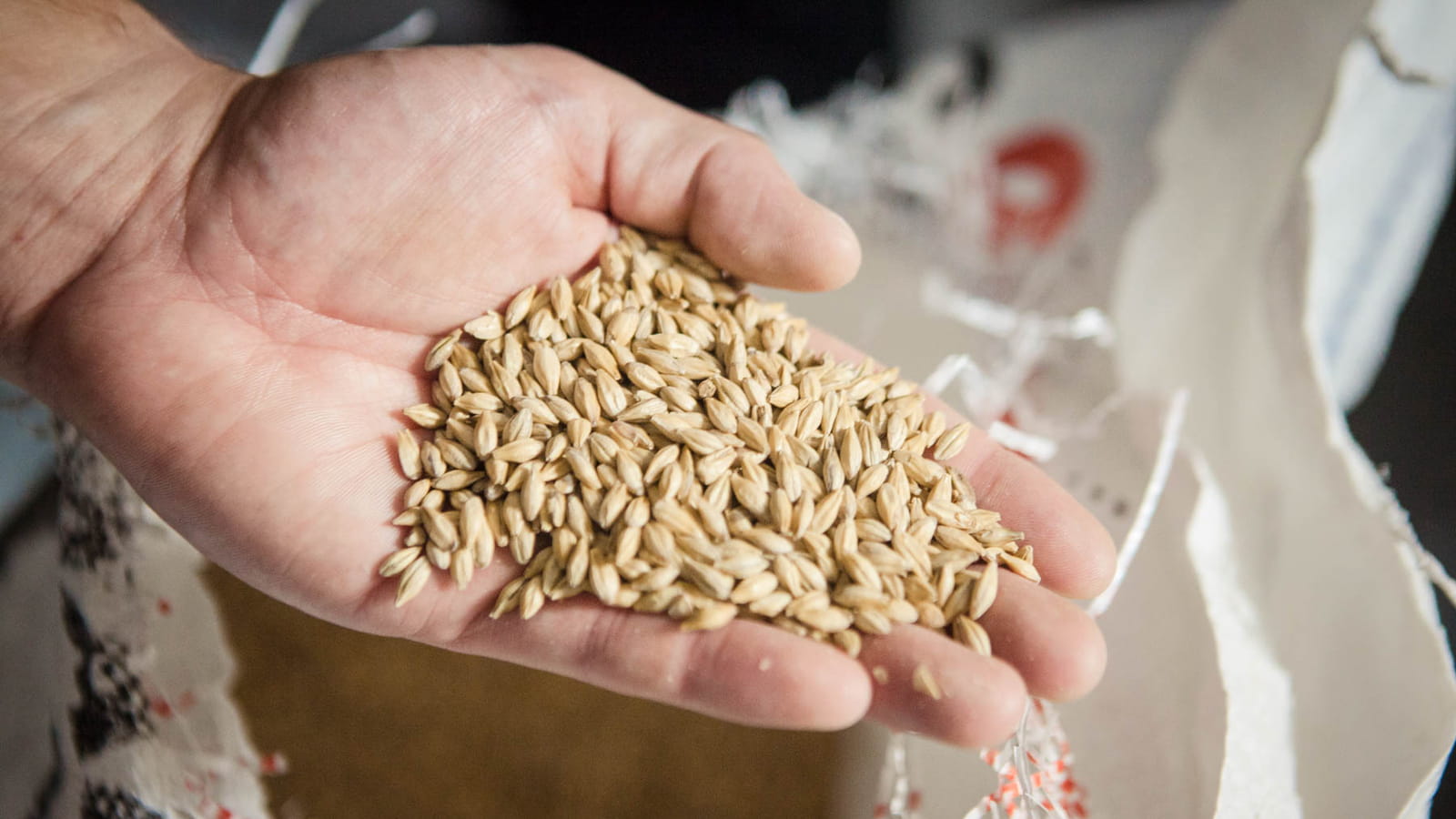Étape 1 : choix de la base de malt 