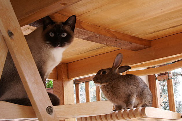 Cachés sous la table