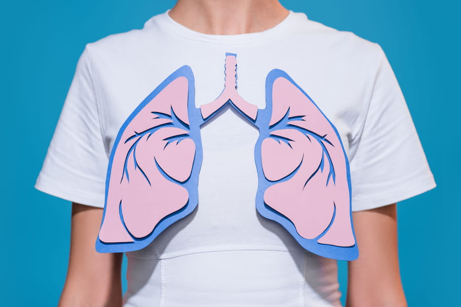 Poumon : anatomie, schéma, rôle, maladies, examens