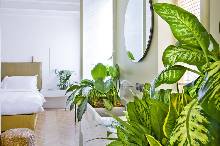 Les tendances déco que vous allez voir partout cet été