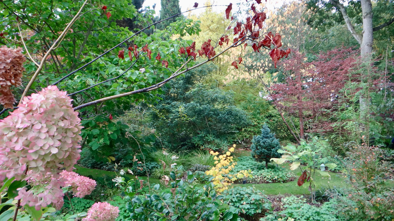 Couleurs d'automne