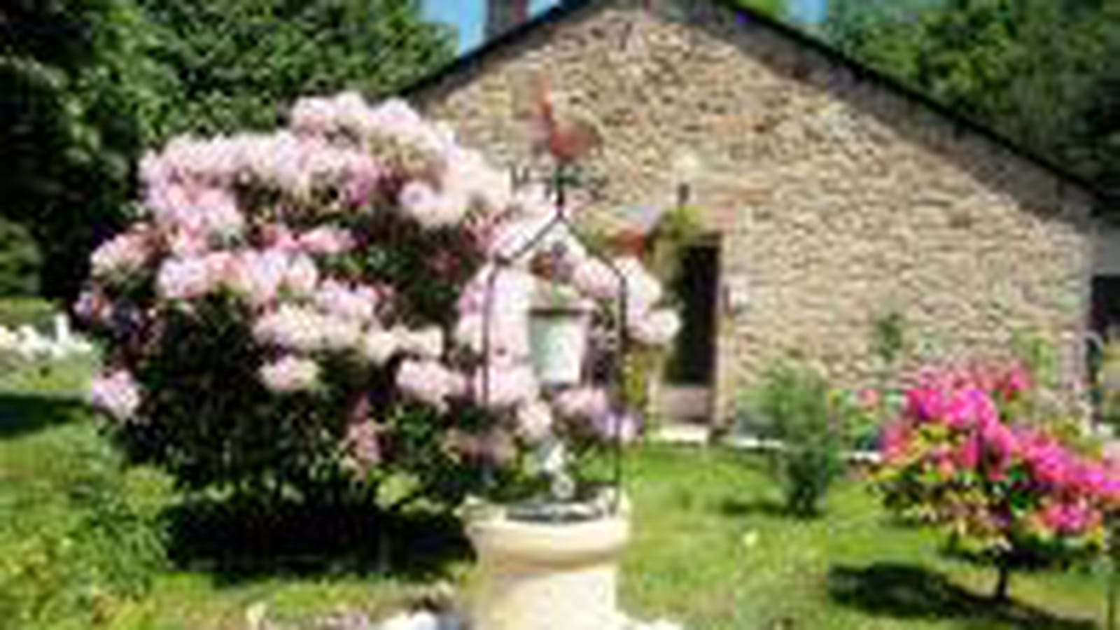 Un puits au milieu du jardin