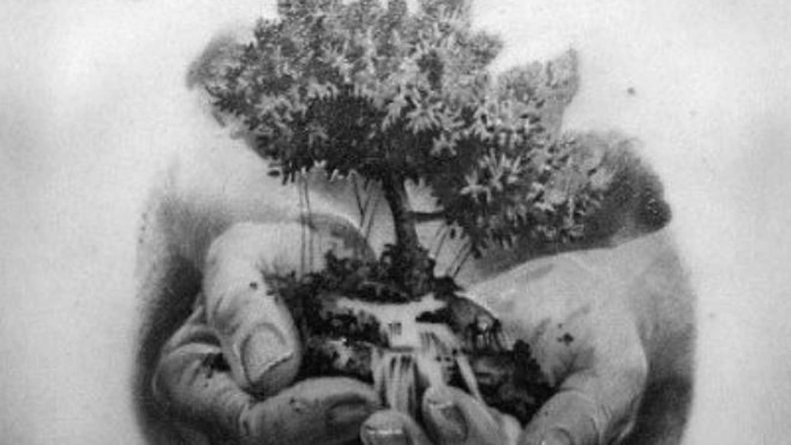 Arbre de vie dans les mains sur le dos