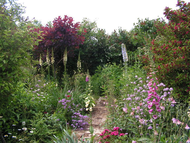 Une all&eacute;e de jardin abondamment fleurie