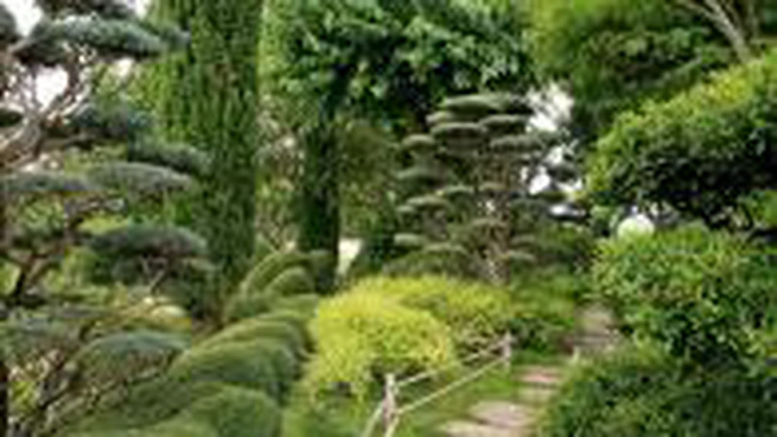 Jardin de thé