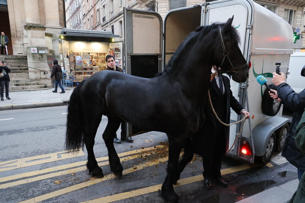 Messe hommage &agrave; Brigitte Bardot&nbsp;: un cheval noir devant l'&eacute;glise