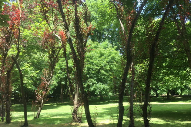Un jardin travaillé... mais pas trop