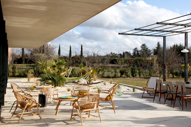 Des cypr&egrave;s pour d&eacute;limiter une parcelle