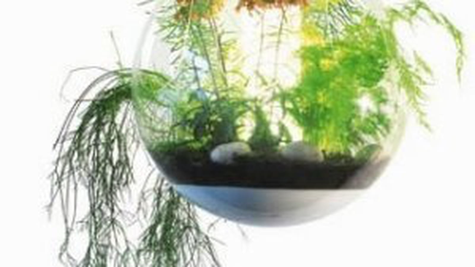 Le lustre Babylone -Tricoiredesign Vegetal Atmosphere 