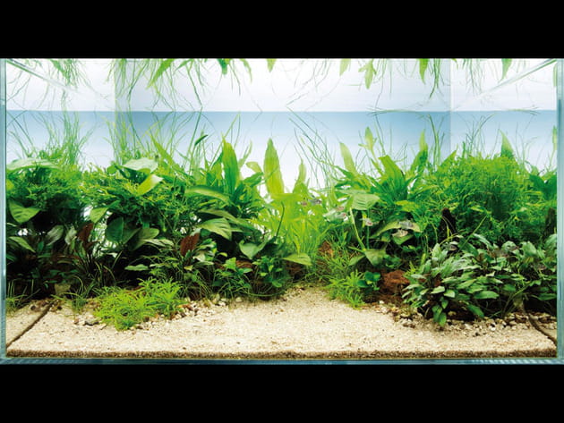 Place &agrave; l'imagination