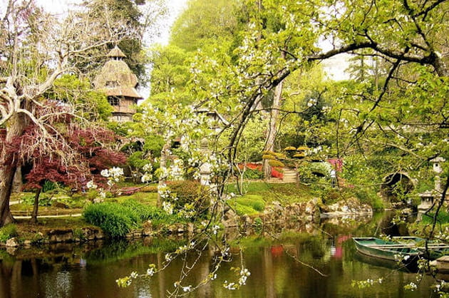 Joyeuse cacophonie v&eacute;g&eacute;tale