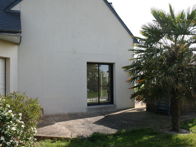 Avant : un palmier bien isolé !